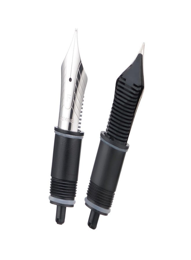 Asvine Set of 2 Number 8 Fountain Pen Replacement Fine Nibs - Compatible with C2000, V800 and C80- Silver - Image 2